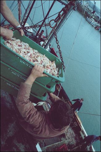 scan629.jpg