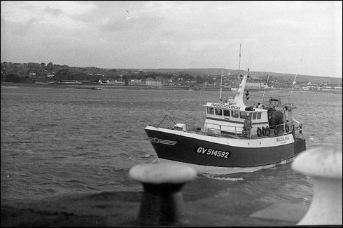 scan350.jpg