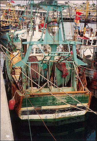 scan444.jpg
