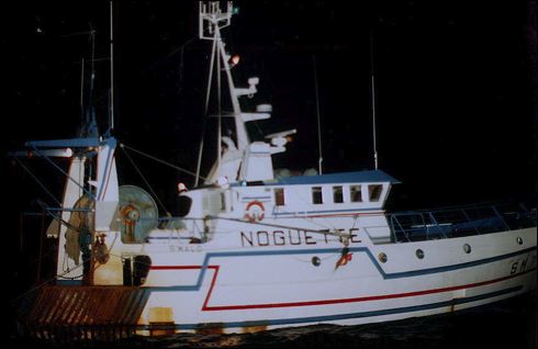 scan458.jpg