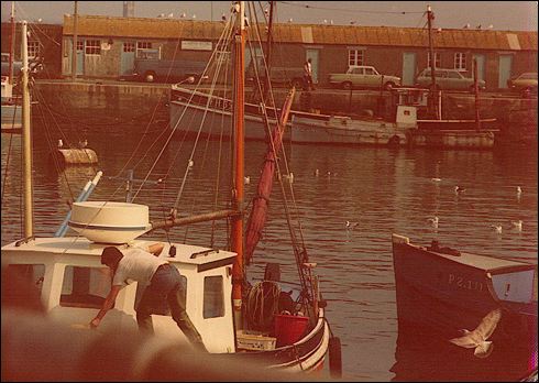 scan507.jpg