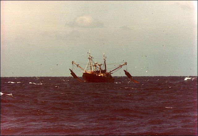 scan209.jpg