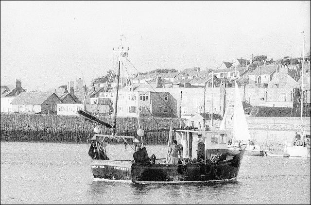 scan674.jpg