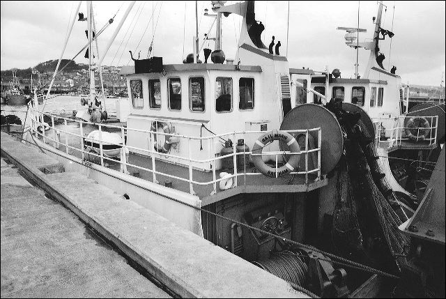 scan890.jpg