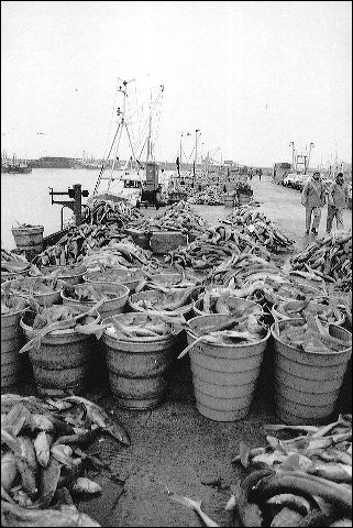 scan886.jpg