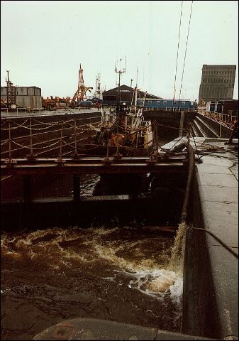 scan515.jpg