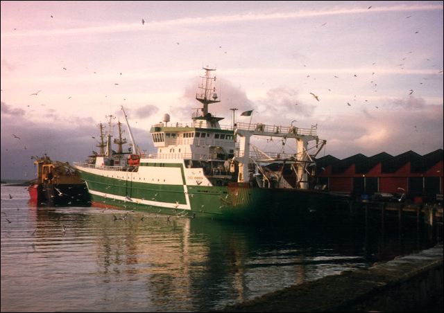 scan244.jpg