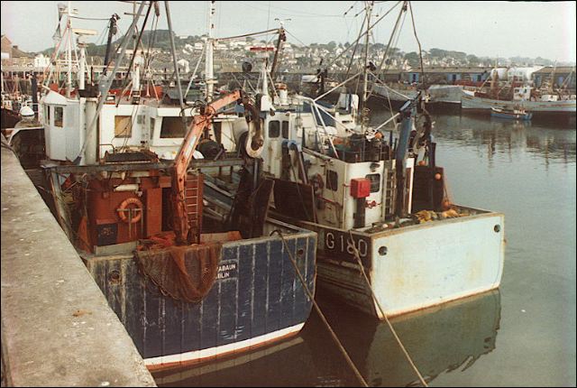 scan429.jpg