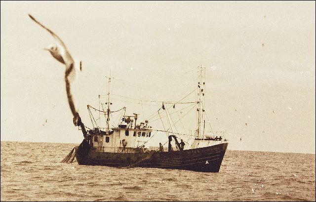 scan668.jpg