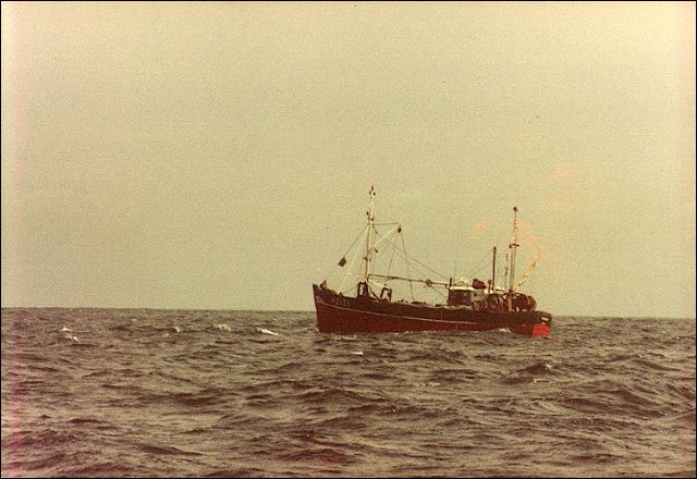 scan205.jpg