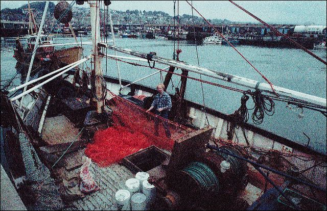 scan567.jpg