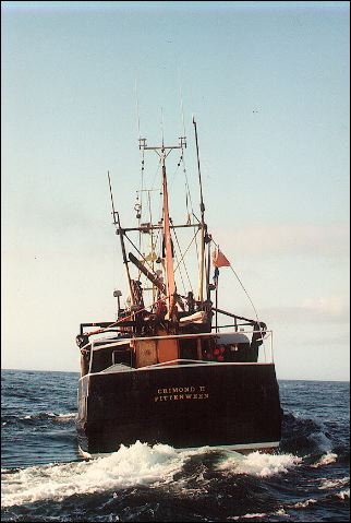 scan396.jpg