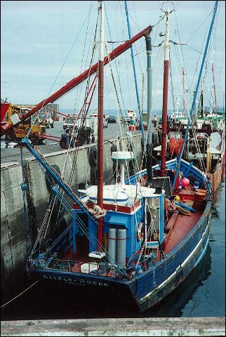 scan468.jpg