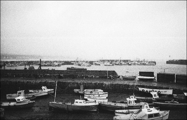 scan832.jpg