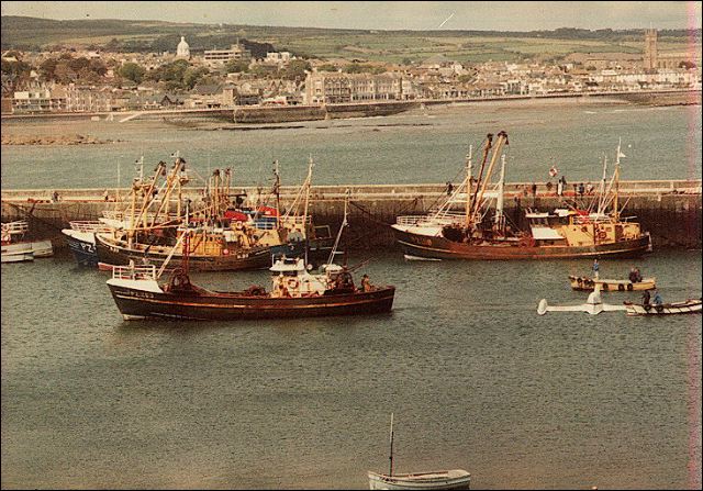 scan298.jpg